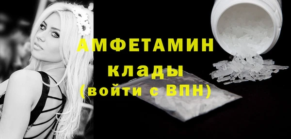 мет Алексин