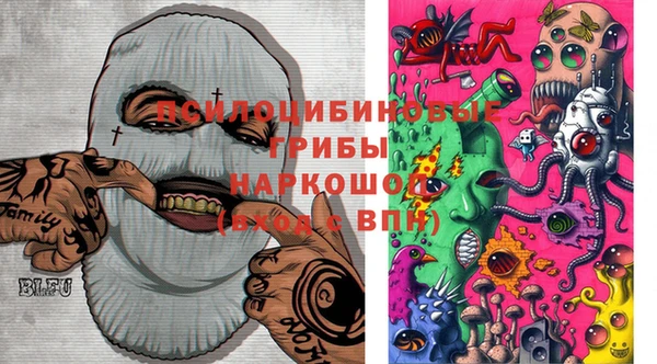 спиды Алексеевка