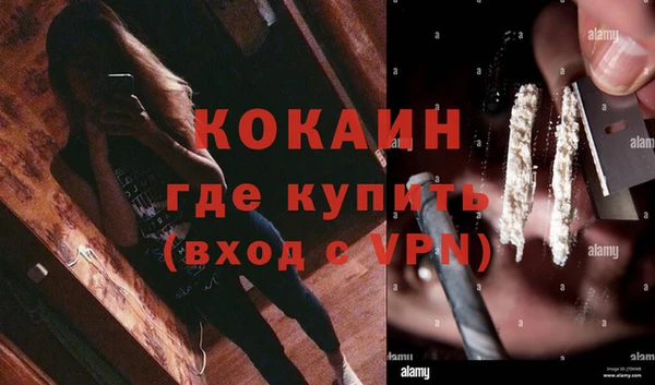 мет Алексин