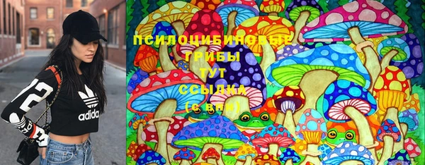 спиды Алзамай