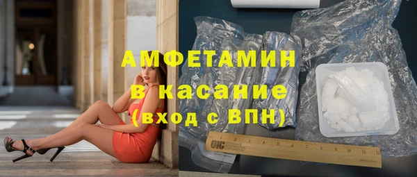 мет Алексин